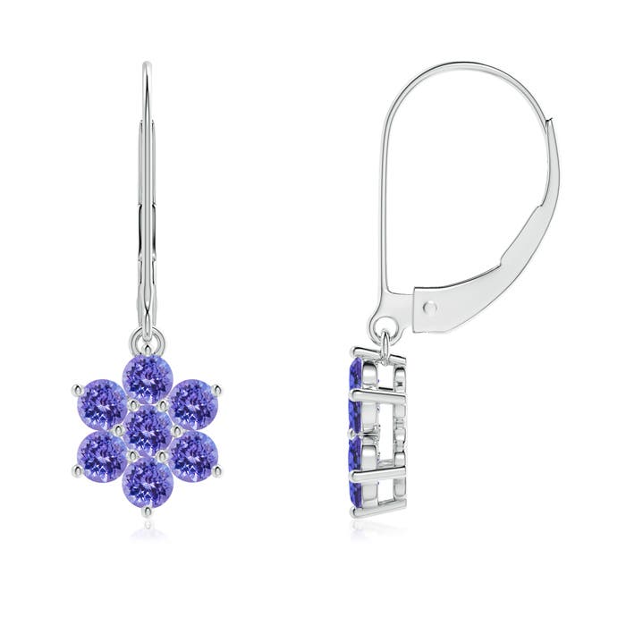 AAA - Tanzanite / 0.98 CT / 14 KT White Gold