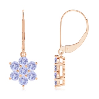 Round A Tanzanite