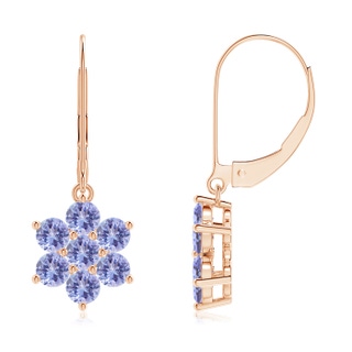 Round AA Tanzanite