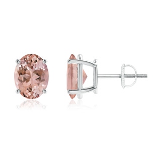 9x7mm AAAA Prong-Set Oval Solitaire Morganite Stud Earrings in P950 Platinum