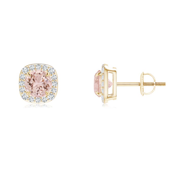 AAA - Morganite / 1.02 CT / 14 KT Yellow Gold