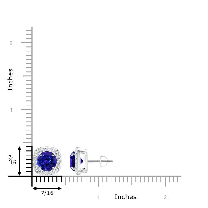 AAAA - Tanzanite / 3.33 CT / 14 KT White Gold