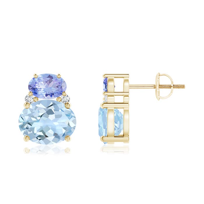 AA - Aquamarine / 3.96 CT / 14 KT Yellow Gold