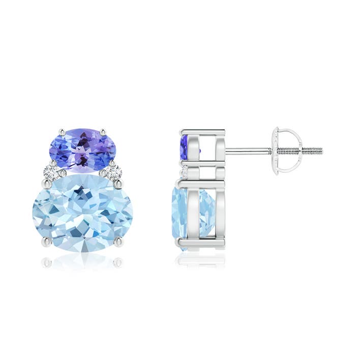 AAA - Aquamarine / 3.96 CT / 14 KT White Gold