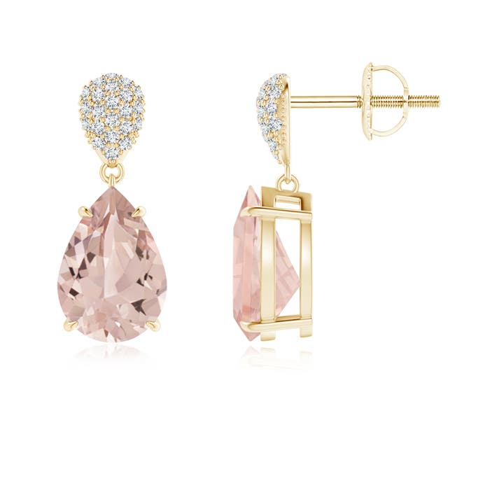 AA - Morganite / 3.42 CT / 14 KT Yellow Gold