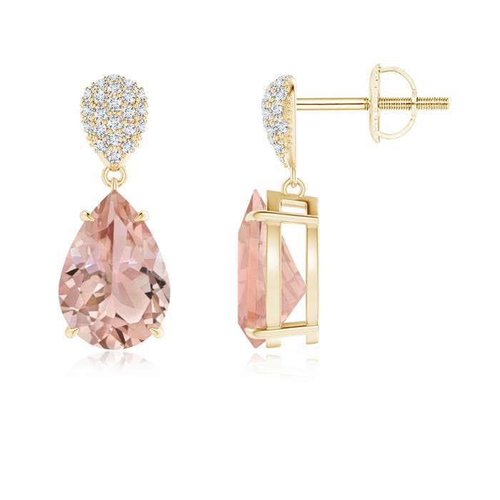 AAA - Morganite / 3.42 CT / 14 KT Yellow Gold