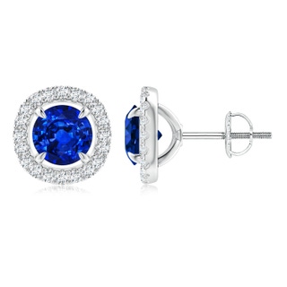 6mm AAAA Vintage Style Sapphire and Diamond Halo Stud Earrings in P950 Platinum