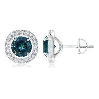 6mm AAA Vintage Style Teal Montana Sapphire and Diamond Halo Stud Earrings in P950 Platinum