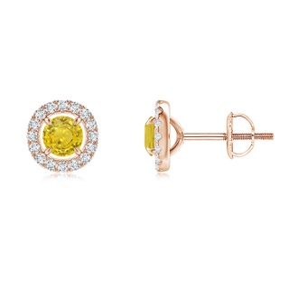 4mm AAA Vintage Style Yellow Sapphire and Diamond Halo Stud Earrings in Rose Gold