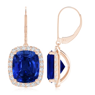 12x10mm Lab-Grown Cushion Blue Sapphire Leverback Earrings with Diamond Halo in Rose Gold