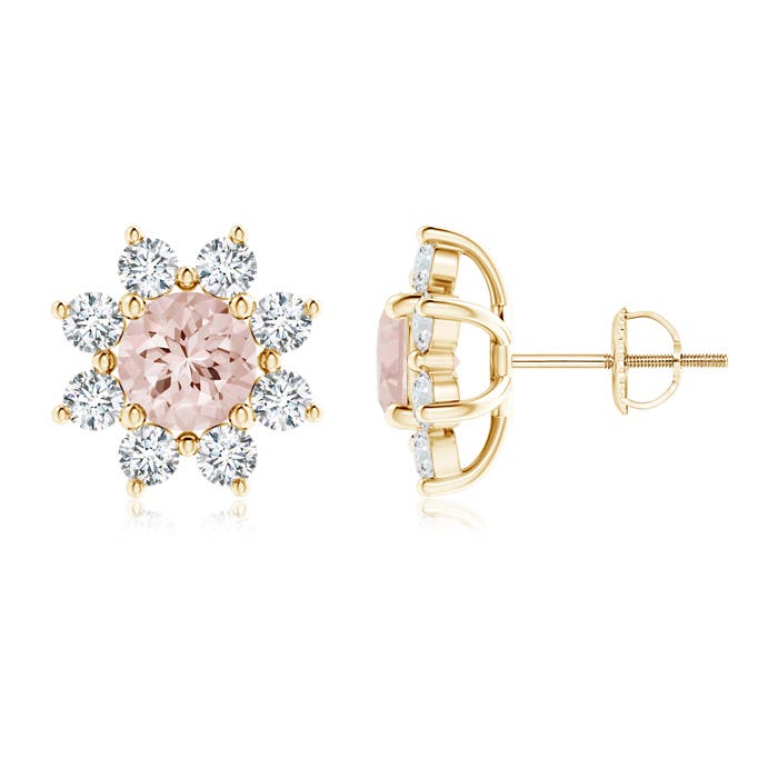 AA - Morganite / 2.78 CT / 14 KT Yellow Gold