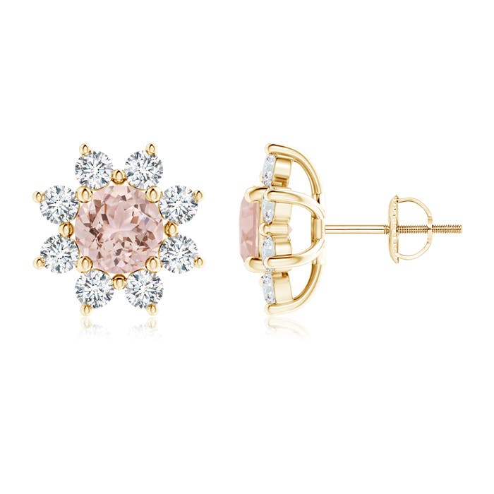 AAA - Morganite / 2.78 CT / 14 KT Yellow Gold