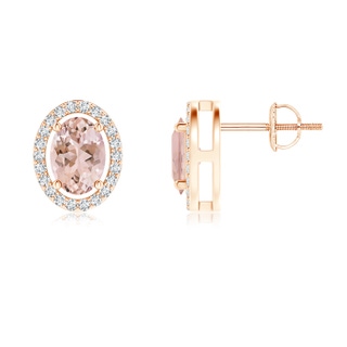 7x5mm AAAA Floating Morganite Stud Earrings with Diamond Halo in Rose Gold