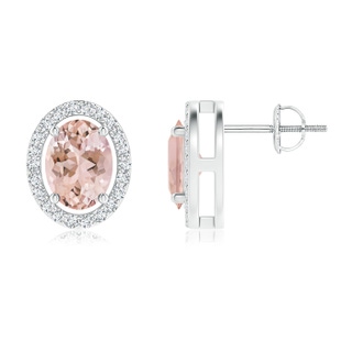 8x6mm AAAA Floating Morganite Stud Earrings with Diamond Halo in P950 Platinum