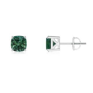 5mm AA Classic Basket-Set Cushion Teal Montana Sapphire Stud Earrings in P950 Platinum