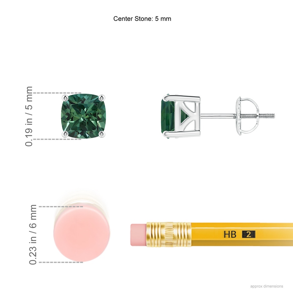 5mm AA Classic Basket-Set Cushion Teal Montana Sapphire Stud Earrings in P950 Platinum ruler
