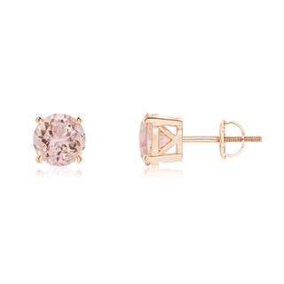 6mm AAA Classic Basket-Set Round Morganite Stud Earrings in Rose Gold