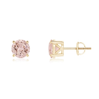 6mm AAA Classic Basket-Set Round Morganite Stud Earrings in Yellow Gold