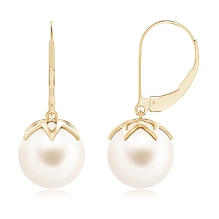 10mm AAA Freshwater Pearl Leverback Drop Earrings in 10K Yellow Gold