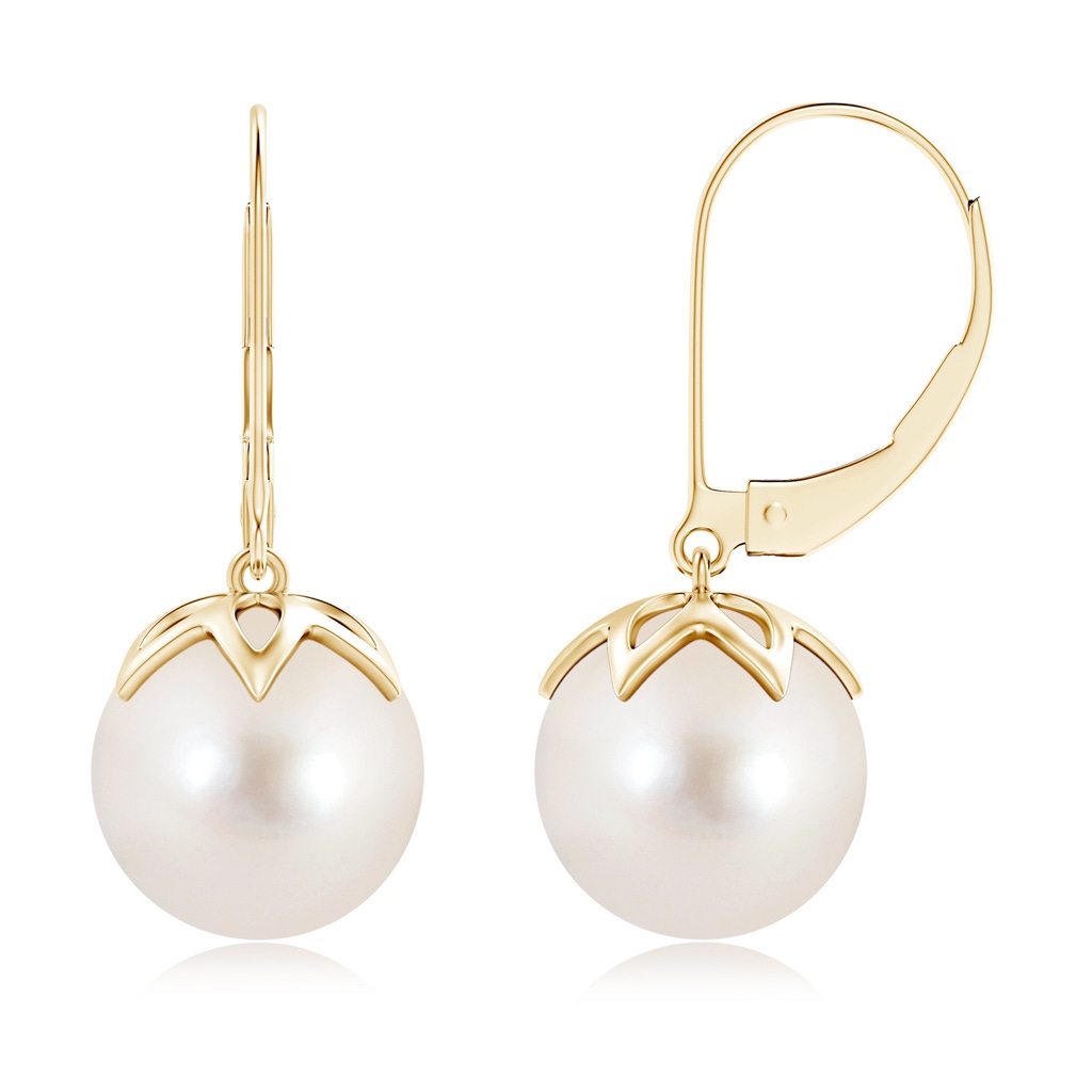 10mm AAAA Freshwater Pearl Leverback Drop Earrings in Yellow Gold