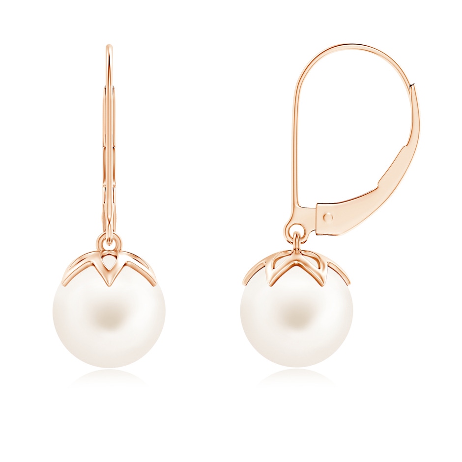 8mm AA Freshwater Pearl Leverback Drop Earrings in 9K Rose Gold 