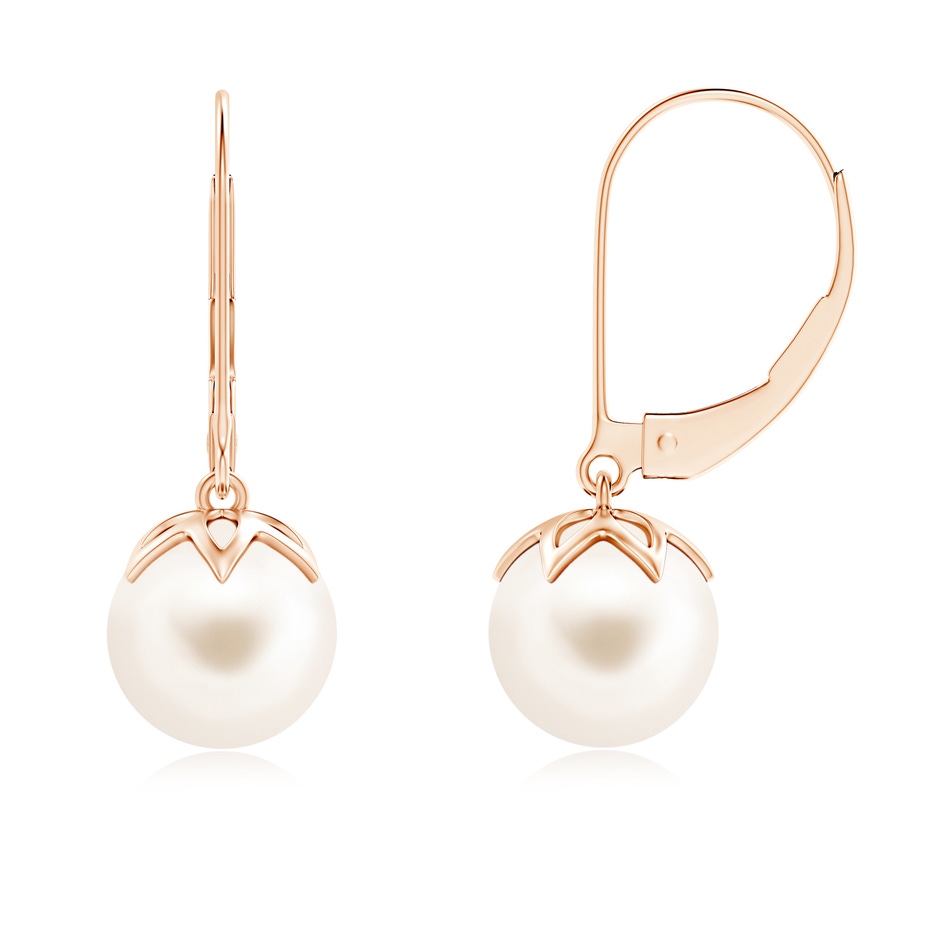 8mm AAA Freshwater Pearl Leverback Drop Earrings in Rose Gold 