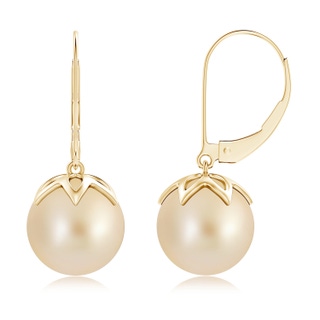10mm AA Golden South Sea Cultured Pearl Leverback Drop Earrings in Yellow Gold