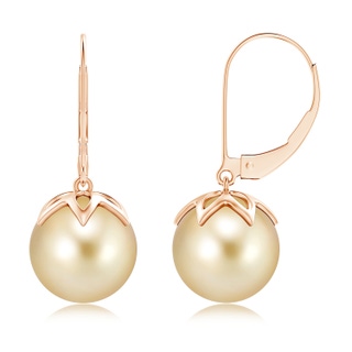 10mm AAAA Golden South Sea Cultured Pearl Leverback Drop Earrings in Rose Gold