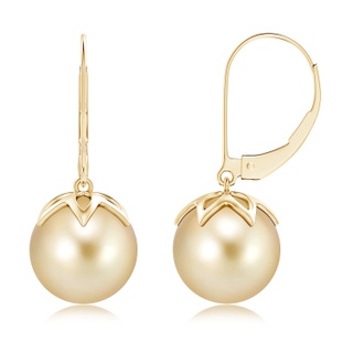 10mm AAAA Golden South Sea Cultured Pearl Leverback Drop Earrings in Yellow Gold