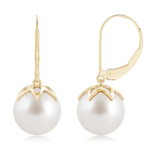 10mm AAA South Sea Pearl Leverback Drop Earrings in 9K Yellow Gold