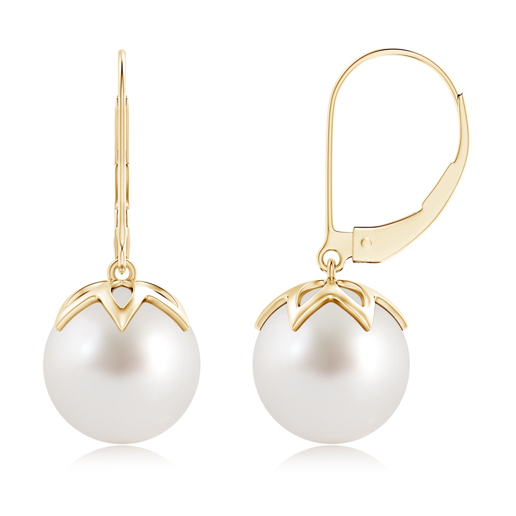 10mm AAA South Sea Pearl Leverback Drop Earrings in Yellow Gold