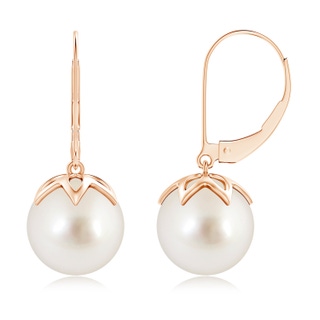 10mm AAAA South Sea Pearl Leverback Drop Earrings in Rose Gold