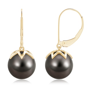 10mm AAA Tahitian Cultured Pearl Leverback Drop Earrings in Yellow Gold