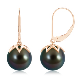 10mm AAAA Tahitian Cultured Pearl Leverback Drop Earrings in Rose Gold