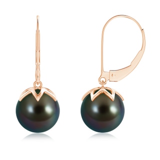 9mm AAAA Tahitian Cultured Pearl Leverback Drop Earrings in Rose Gold