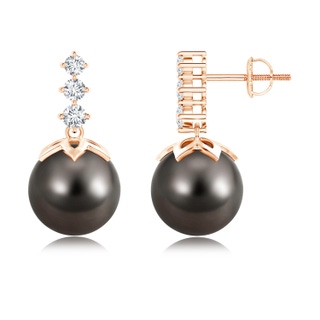 10mm AAA Tahitian Cultured Pearl Earrings with Graduated Diamond in Rose Gold