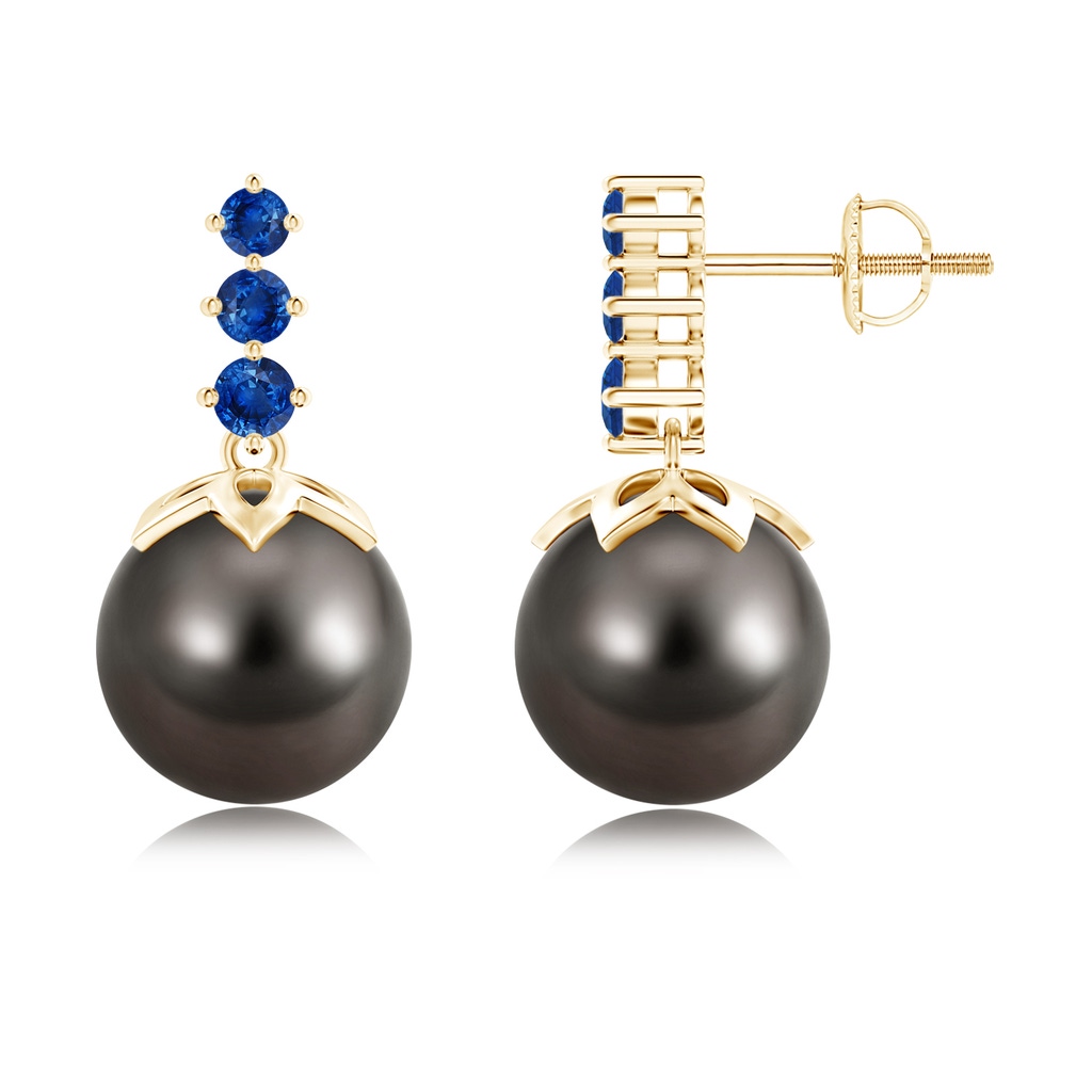 10mm AAA Tahitian Pearl Earrings with Graduated Sapphire in Yellow Gold