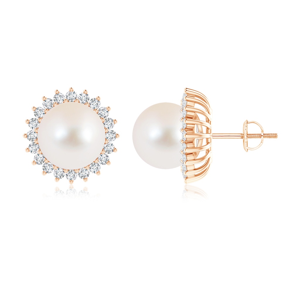 10mm AAA Freshwater Pearl and Diamond Flower Halo Studs in Rose Gold