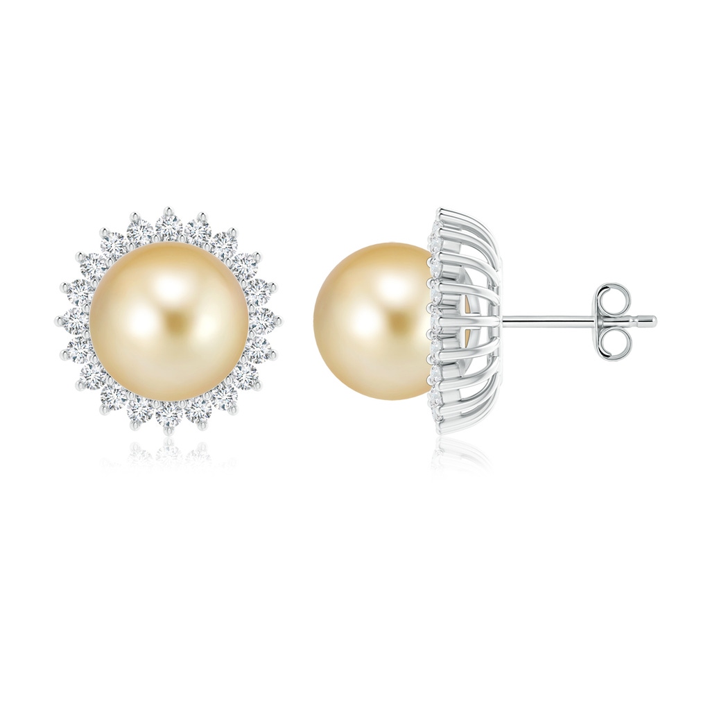 10mm AAAA Golden South Sea Cultured Pearl Flower Halo Studs in S999 Silver