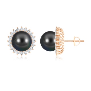 10mm AA Tahitian Pearl and Diamond Flower Halo Studs in Rose Gold