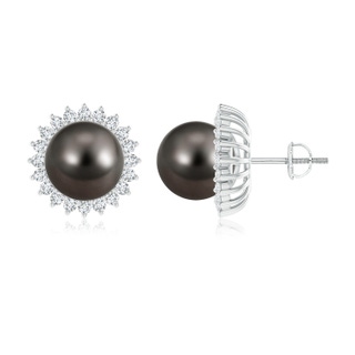 10mm AAA Tahitian Pearl and Diamond Flower Halo Studs in White Gold