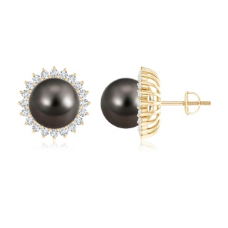 10mm AAA Tahitian Pearl and Diamond Flower Halo Studs in Yellow Gold