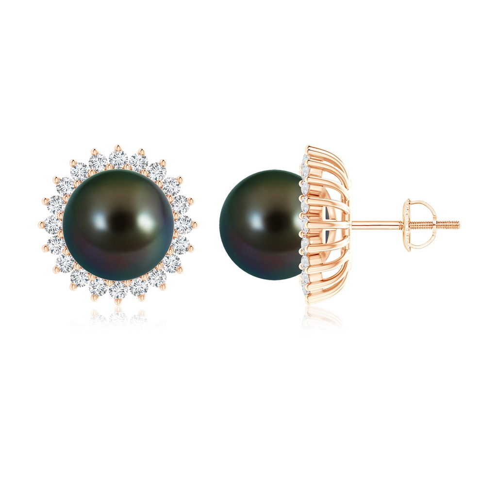 10mm AAAA Tahitian Pearl and Diamond Flower Halo Studs in Rose Gold