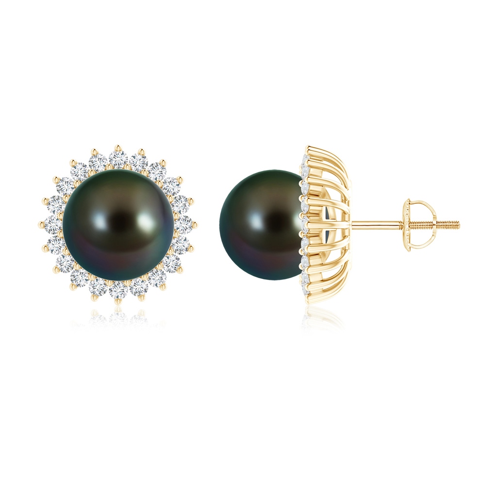 10mm AAAA Tahitian Pearl and Diamond Flower Halo Studs in Yellow Gold