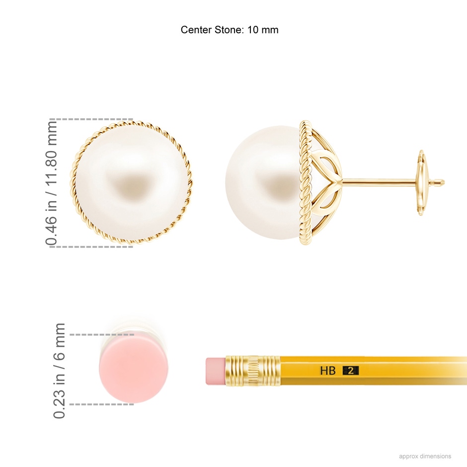 10mm AAA Freshwater Pearl Earrings with Twisted Rope Frame in Yellow Gold ruler