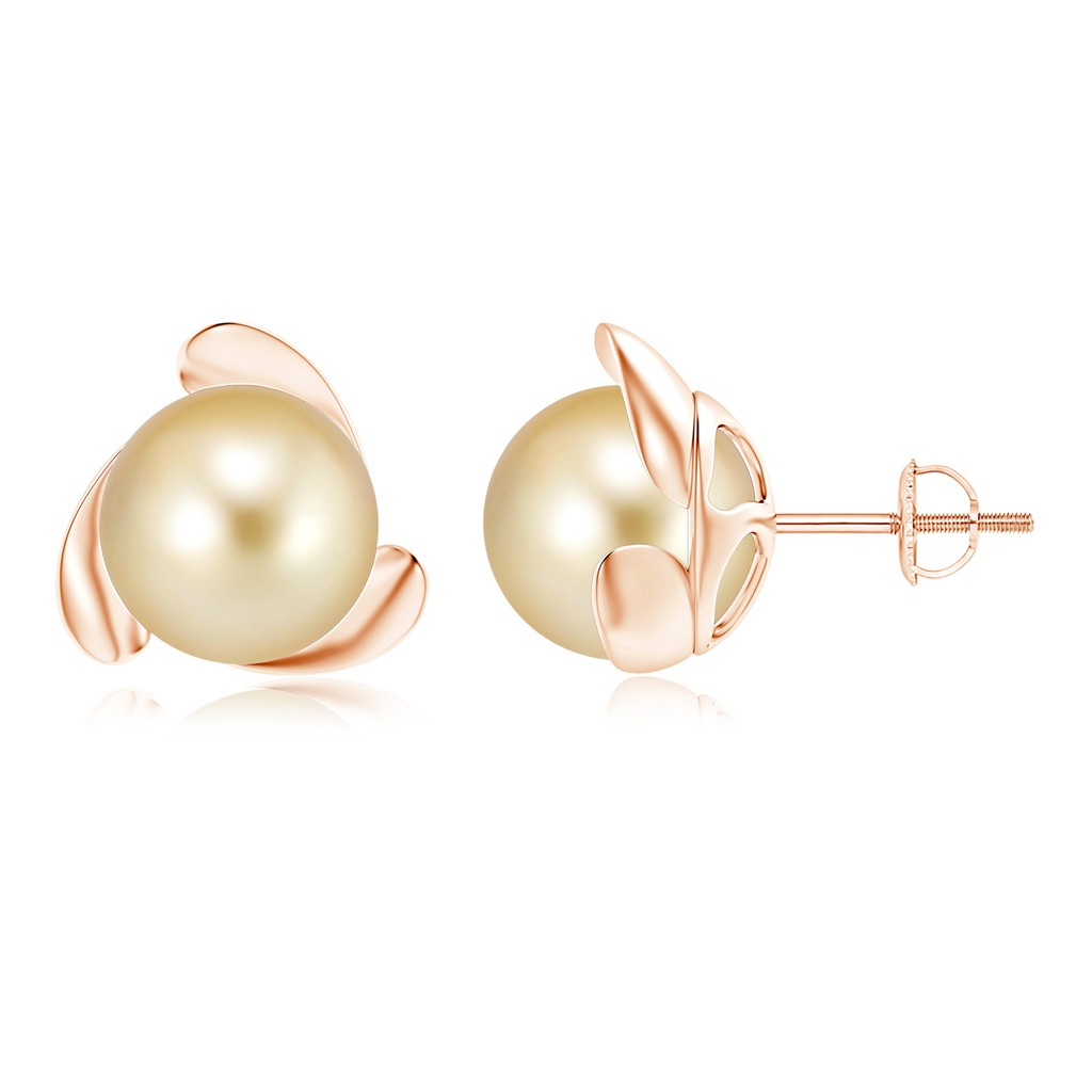 10mm AAAA Golden South Sea Pearl Flower Stud Earrings in Rose Gold