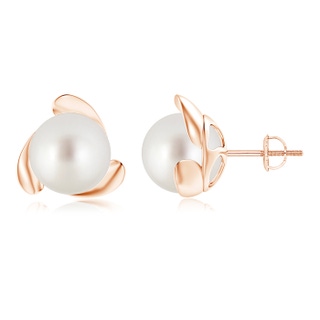 10mm AAA South Sea Pearl Flower Stud Earrings in Rose Gold