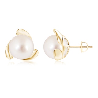 10mm AAAA South Sea Pearl Flower Stud Earrings in Yellow Gold