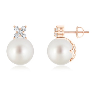 10mm AAA South Sea Pearl and Diamond Clustre Stud Earrings in Rose Gold