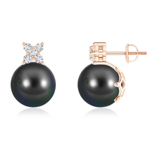 10mm AA Tahitian Cultured Pearl and Diamond Clustre Stud Earrings in Rose Gold
